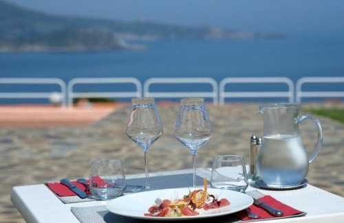 Banyuls-sur-Mer Hotel | Le Catalan