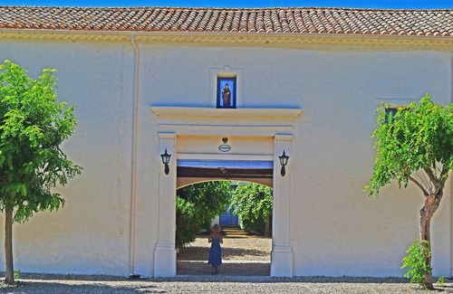 Nizas Villa | Le Caveau spacious vintage vineyard villa at DOMAINE SAINT FERREOL