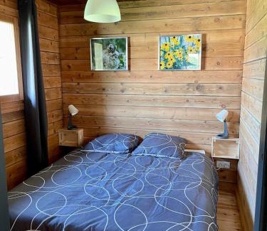 La Meilleraie-Tillay Ski Chalet | Le Chalet 20min PuyduFou