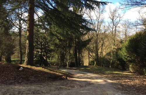 Saint-Martin-le-Beau Cabin | Le Chalet de la Loire
