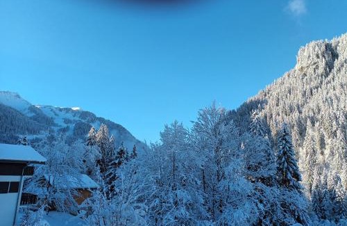 Chatel Apartment | Le Chardon Bleu