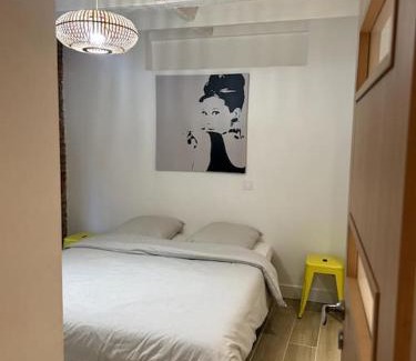 Amidonniers - Caffarelli Apartment | Le Charmant - Appartement Calme et Cosy au coeur de Toulouse - Proche Transports