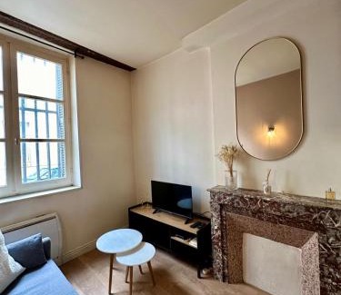 Dijon Centre Ville Apartment | Le Charmant Vannerie