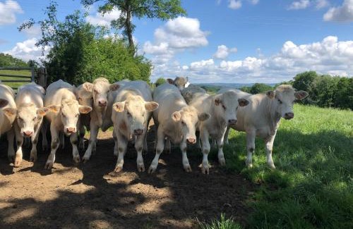 Saint-Christophe House | Le charme à la campagne proche de Vichy