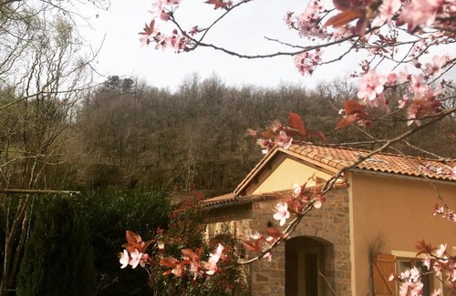 Versols-et-Lapeyre Bed & Breakfast | Le Chat Blanc