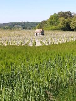 Saint-Georges-sur-Cher Bed & Breakfast | Le Clos de la Chesneraie