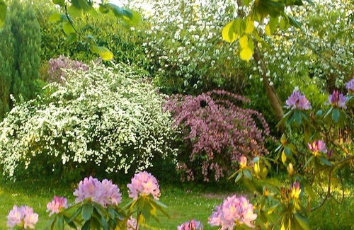 Angiens Cottage | Le clos de silleron: charm, tradition, large garden near from the beach.