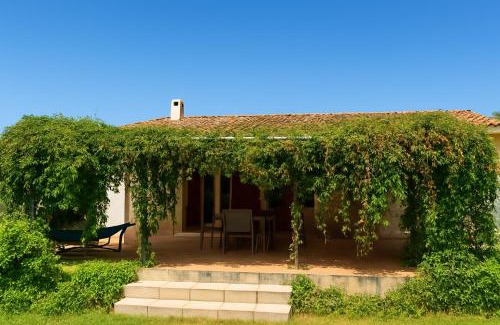 Orange House | Le Clos du Théâtre - Villa avec piscine et BBQ