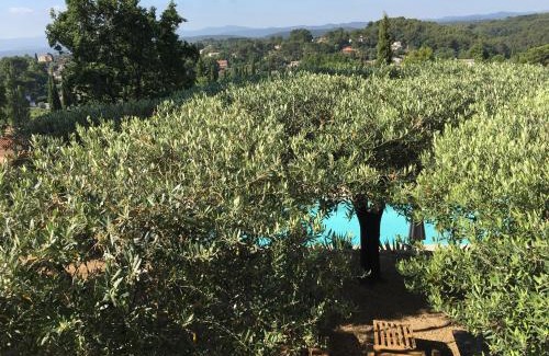 Flayosc Bed & Breakfast | Le Clos en Provence