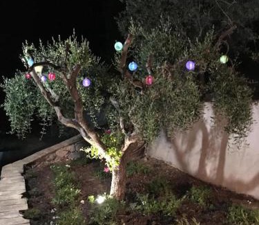 Flayosc Bed & Breakfast | Le Clos en Provence