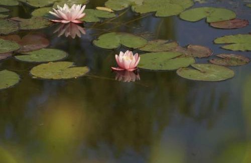 Giverny Bed & Breakfast | Le Clos Morin - Chambres d'hôtes