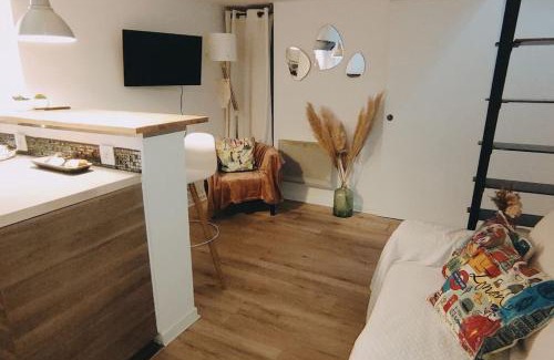 Capitole Apartment | Le cocon de Rose