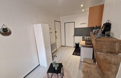 Besancon Old Town Apartment | Le cocon