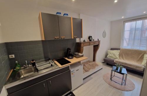 Besancon Old Town Apartment | Le cocon