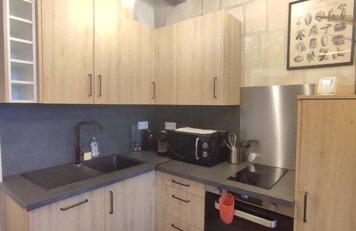 Tours City Centre Apartment | Le Constantine