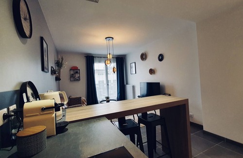Annecy Old Town Apartment | Le Continental Beau T2 plein centre + parking