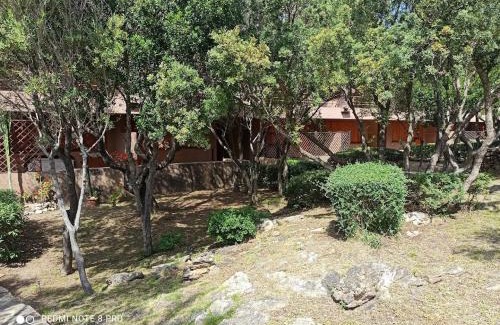 Cugnana Verde Apartment | Le Corti della Costa Smeralda