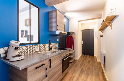 Castelnaudary Apartment | LE COSMO Du Grand Bassin Avec Terrasse