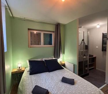 Grisolles Apartment | Le cosy Balat Biel RDC jardin spacieux