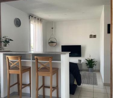 Castelnau-d'Estretefonds Apartment | Le Cosy Wifi Clim Parking