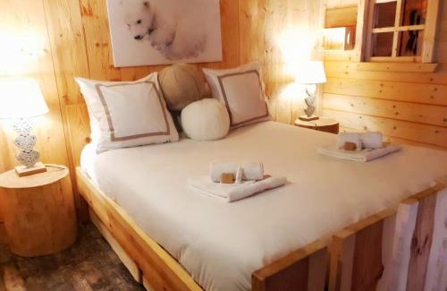 Le Bourg-d'Oisans Ski Chalet | Le Cosy Lodge
