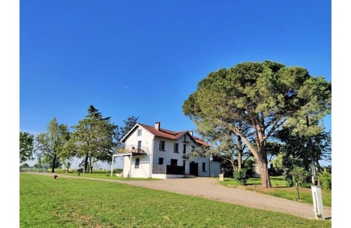 Brens Cottage | Le Cottage Nature Vigne Rouge Clim Gaillac 🐕👍 ★ Les Cottages du Tarn ★