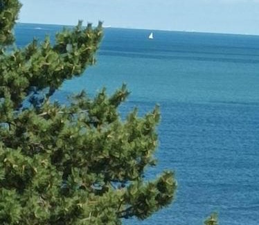 Benerville-sur-Mer Apartment | le cottage vue mer