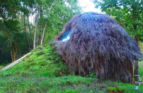 Vouzon Other | Le cul de loup