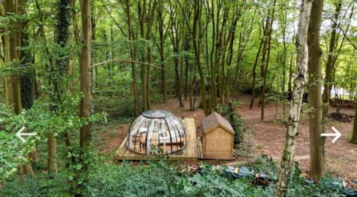 Champion Other | Le Dôme de Namur - Une nuit insolite dans les bois