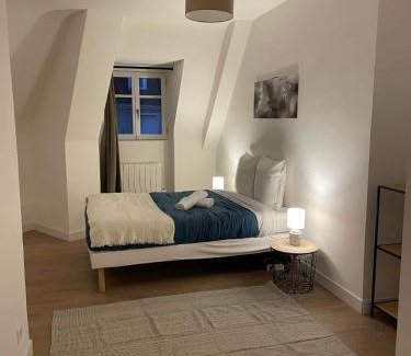 Blois Apartment | Le Denis Papin - Hyper Centre - à 5 minutes du Châteaux