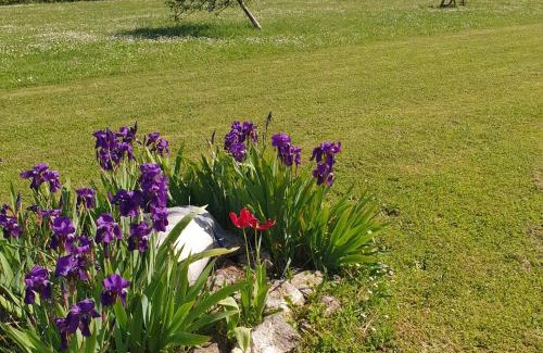 Tanzac Bed & Breakfast | le domaine de bellevue