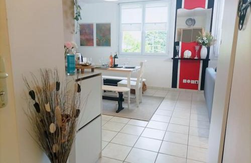 Fleury-les-Aubrais Apartment | Le Duplex Décontracté