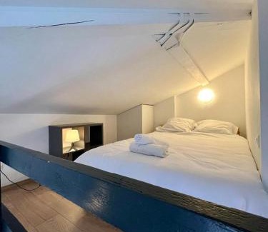 Saint - Michel Apartment | Le Duplex Toulousain - Tram Métro - Centre ville