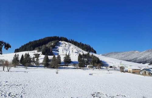 Autrans Apartment | le face au tremplin Appartement 5 pers entièrement rénové dec 2022 classé meublé de tourisme 3 étoiles emplacement unique a Autrans proche du village prestations de qualité
