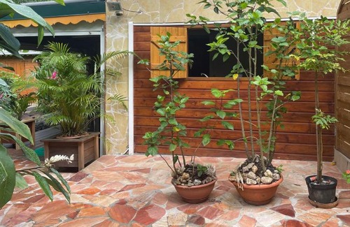 Pointe-Noire Apartment | Le Filao 2