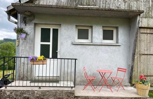 Saulxures-sur-Moselotte Apartment | Le Gîte du Chat Gru