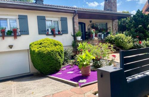 Saint-Die Apartment | Le Gîte de Brigitte !