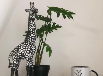 Louviers House | LE GITE DE LA GIRAFE CENTRE VILLE LOUVIERS