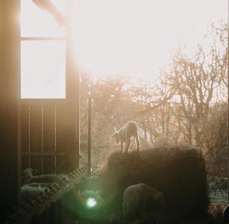 Roumare House | Le gite de Melmont