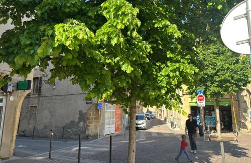 Metz-Centre – Ancienne Ville Apartment | Le Graoully