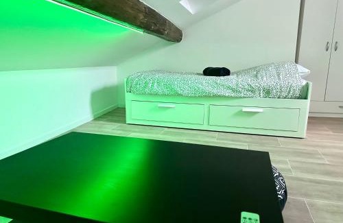 Metz-Centre – Ancienne Ville Apartment | Le Graoully