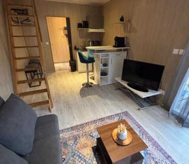 Montaudran - Lespinet Apartment | Le Green KUB