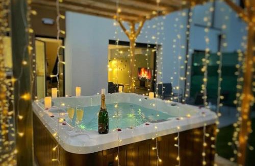 Longvic Apartment | Le GREEN'SPA - DIJON - SPA-jardin-parking privé