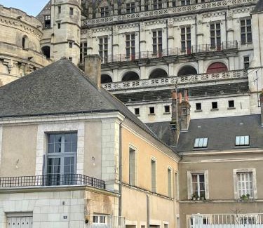 Amboise Apartment | Le Grenier à Sel d'Amboise 5 pers PMR, parking privé, terrasse, maison historique
