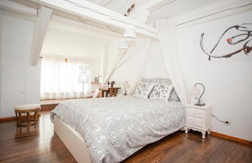 Kaysersberg-Vignoble Apartment | Le Grenier du Photographe