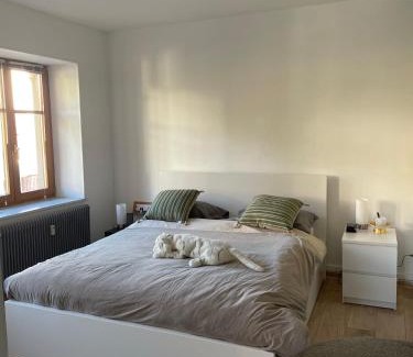Le Hohwald Apartment | Le Hohwald centre appartement 2 pièces # 102