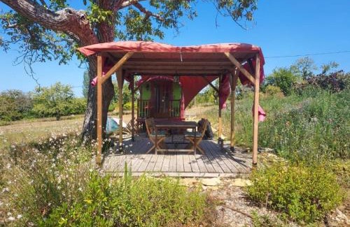 Pays-de-Belves House | Le Jardin de Lyno