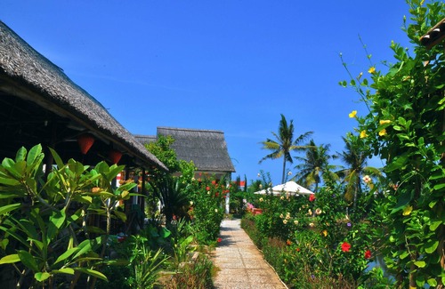 Cam Thanh House | LE JARDIN DE MAI HOI AN BUNGALOW