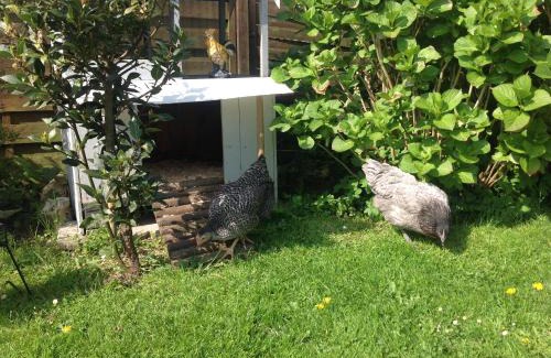 Thietreville Bed & Breakfast | Le Jardin des Poules
