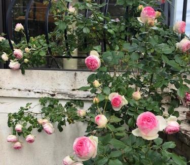 Beaune Bed & Breakfast | Le jardin des Vérottes
